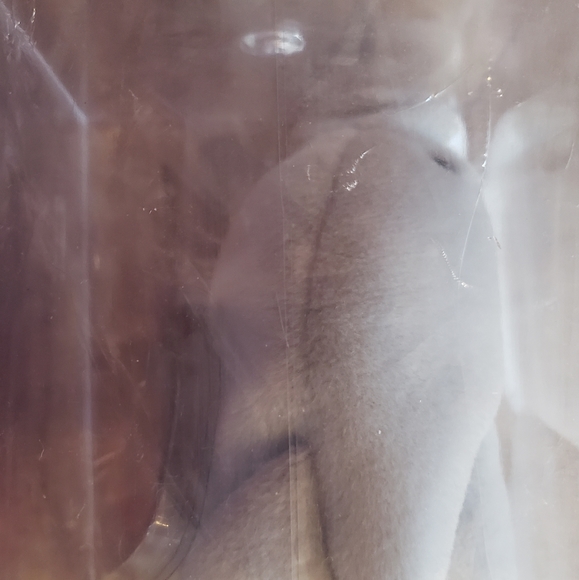 AUTHENTIC and MINT Flash Beanie Baby. Certificate of Authenticity and Acrylic ca - Picture 3 of 11